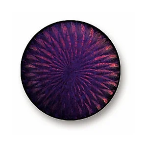 Transparent Dark Purple