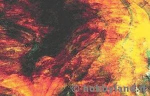 YOUGHIOGHENY 5506 SP - TÜRKIS BRAUN AMBER