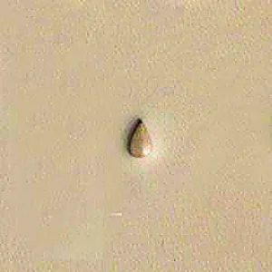 PEAR SHADER LEDERSTEMPEL - P233