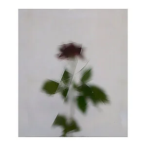VERRE SCHOTT ARTISTA - 0189 TRANSPARENT