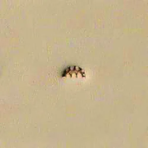 MATOIR POUR CUIR CISELAGE DE FORMES - F922