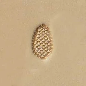MATOIR POUR CUIR PINE CONE- W567