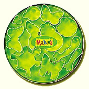 SET 11 DIE-CUTS FROGS AND BUTTERFLIES