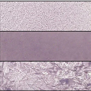FUSING PAPER 3 PCS SET - PATTERN WISTERIA 13X13 CM