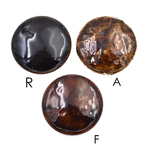 Transparent Autumn Brown