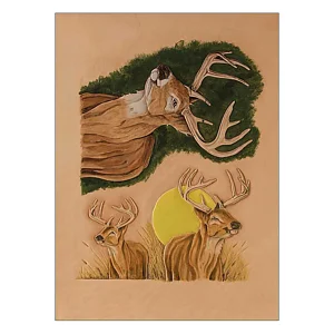 CRAFTAID 6643 - CERF
