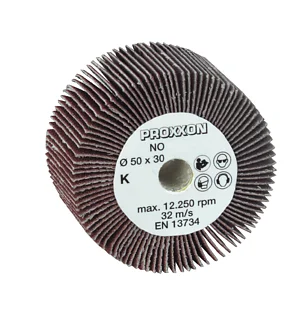 ABRASIVO LAMELLARE PER PROXXON WAS Ø 50 X 30 MM - GR. 80