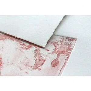 FLEUR DE COTON - CARTA PER INCISIONI 100% COTONE 250 GR