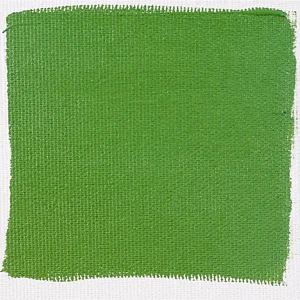 Vert oxyde de chrome