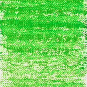 Verde Permanente Medio