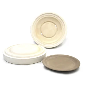 SLIP CAST MOLD - FLAT PLATE D.210MM