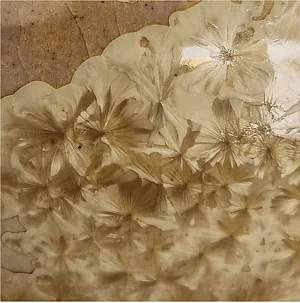 F656 - 
Golden Tourmaline