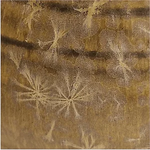 F665 - 
Yellow Jasper