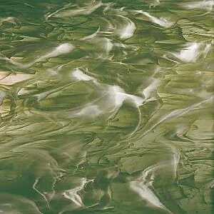 SPECTRUM 828-94S-F - VERT OLIVE / BLANC WISPY