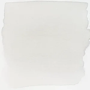 Gris cálido Transparente